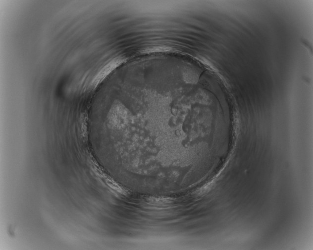 X0000102470921200808081247