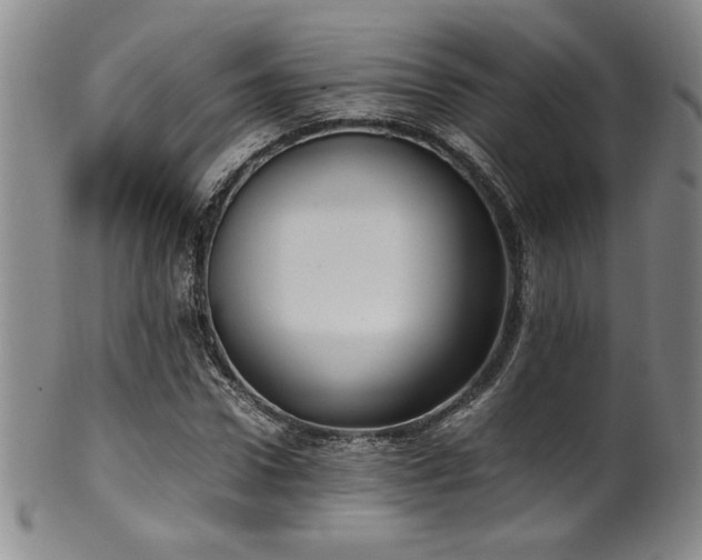 X0000102470922200808081247