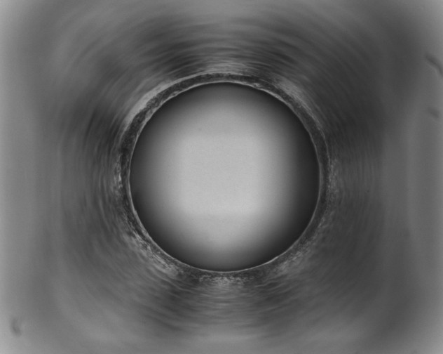 X0000102470923200808081247