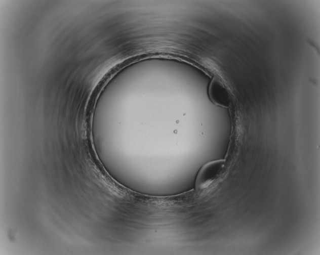 X0000102470924200808081247