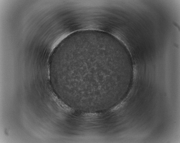 X0000102470925200808081247