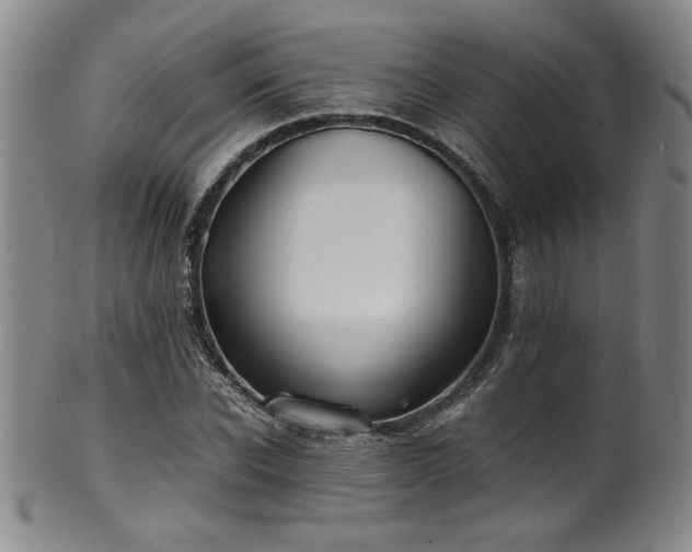 X0000102470926200808081247