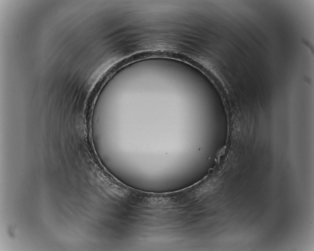X0000102470927200808081247