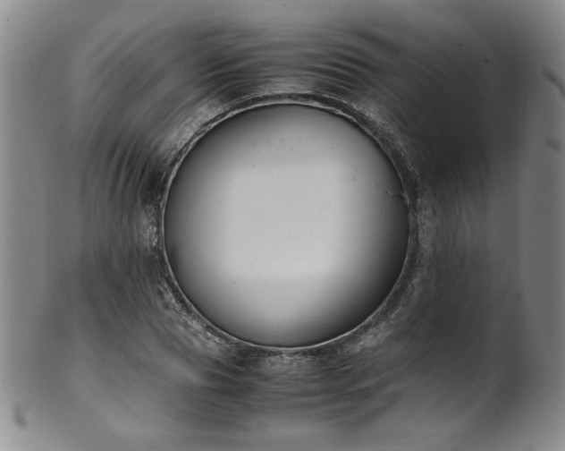 X0000102470929200808081247