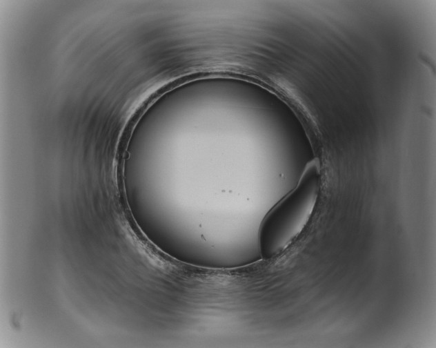 X0000102470932200808081247