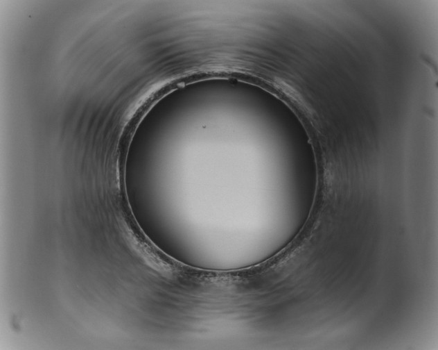 X0000102470934200808081247