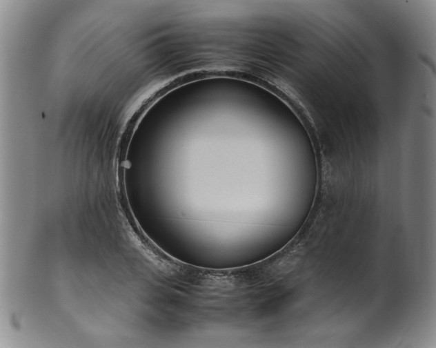 X0000102470935200808081247