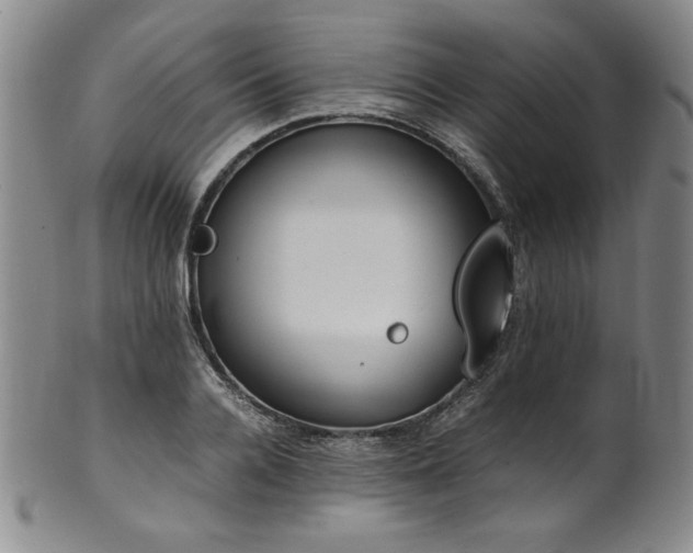 X0000102470936200808081247