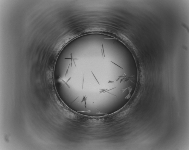 X0000102470937200808081247