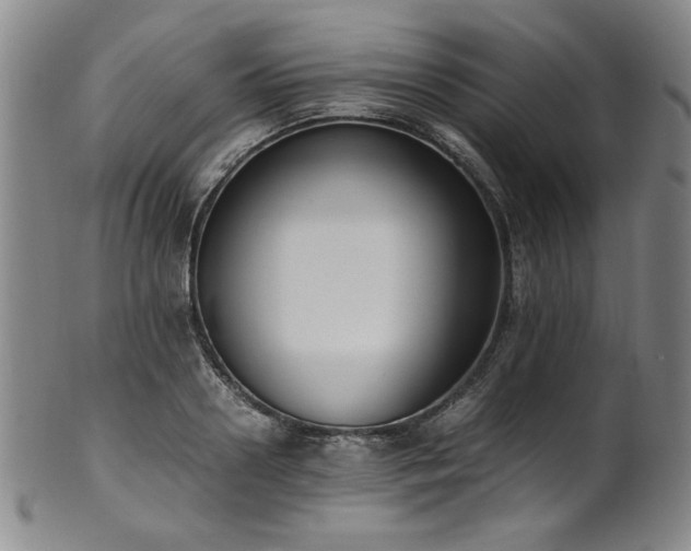 X0000102470938200808081247
