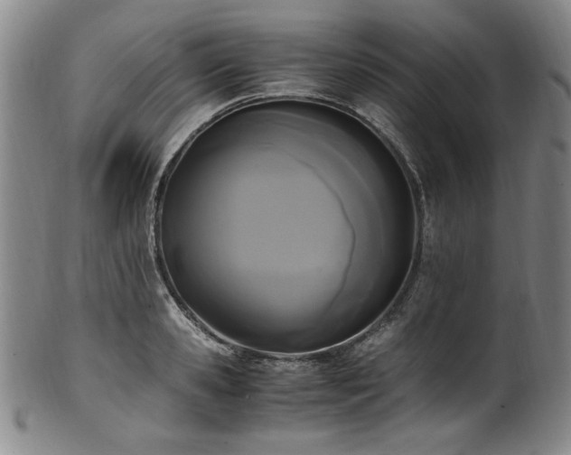 X0000102470941200808081247