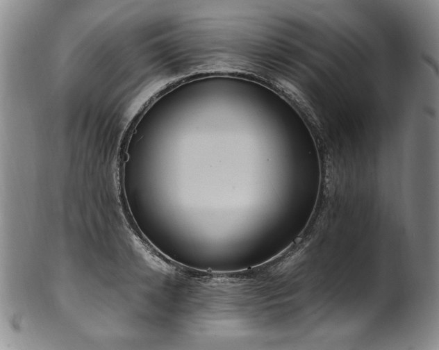 X0000102470942200808081247