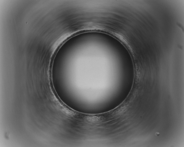X0000102470943200808081247