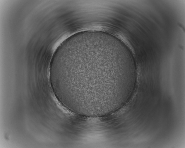 X0000102470944200808081247