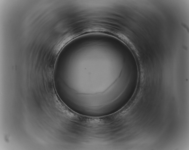 X0000102470945200808081247