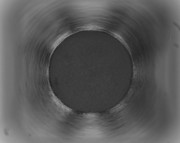 X0000102470946200808081247