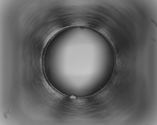 X0000102470947200808081247