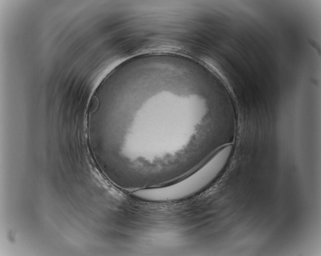 X0000102470948200808081247