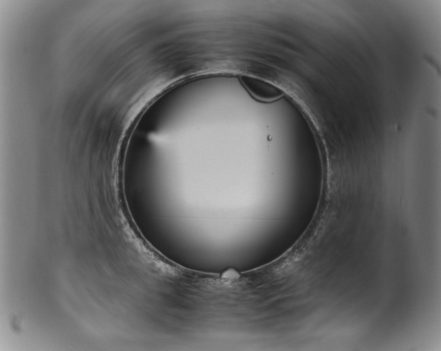 X0000102470949200808081247