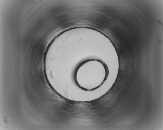X0000102470950200808081247