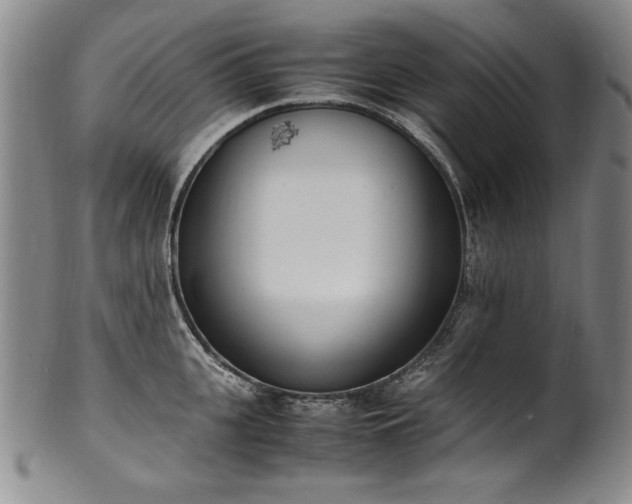 X0000102470951200808081247