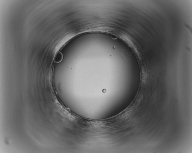 X0000102470952200808081247