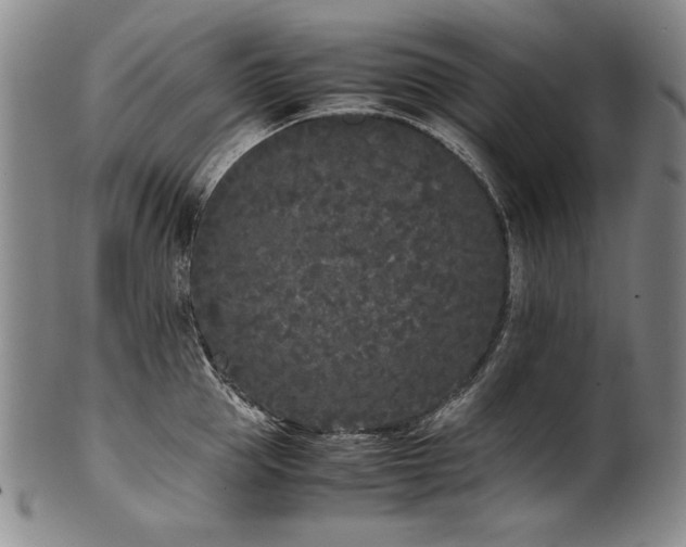 X0000102470953200808081247