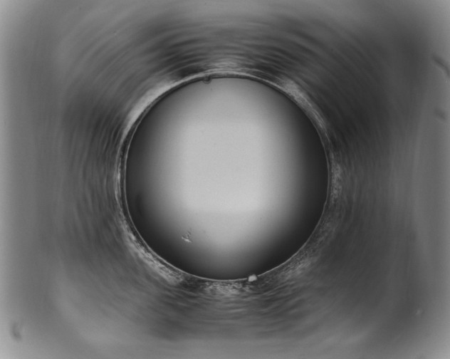 X0000102470955200808081247