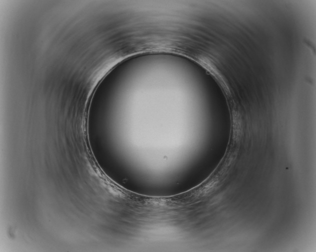 X0000102470956200808081247