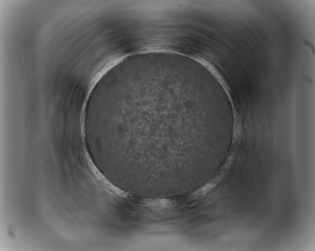 X0000102470957200808081247