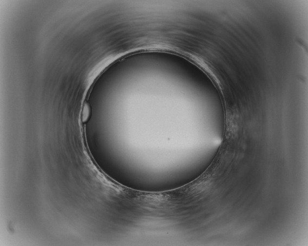 X0000102470959200808081247