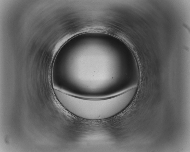 X0000102470960200808081247