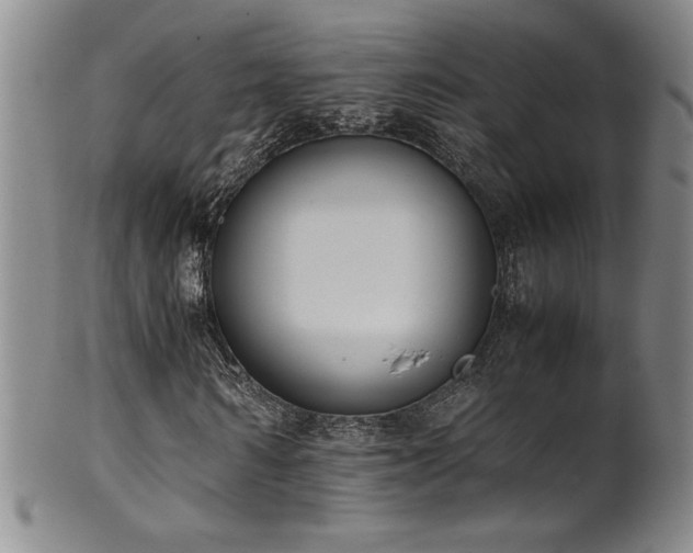 X0000102470962200808081247