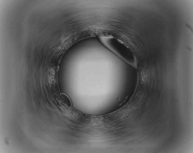 X0000102470964200808081246