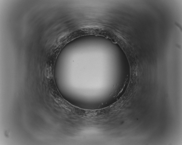 X0000102470965200808081246