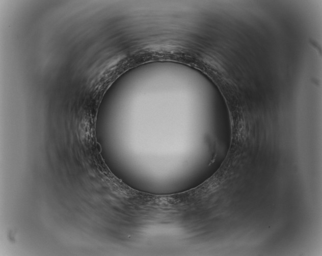X0000102470966200808081246