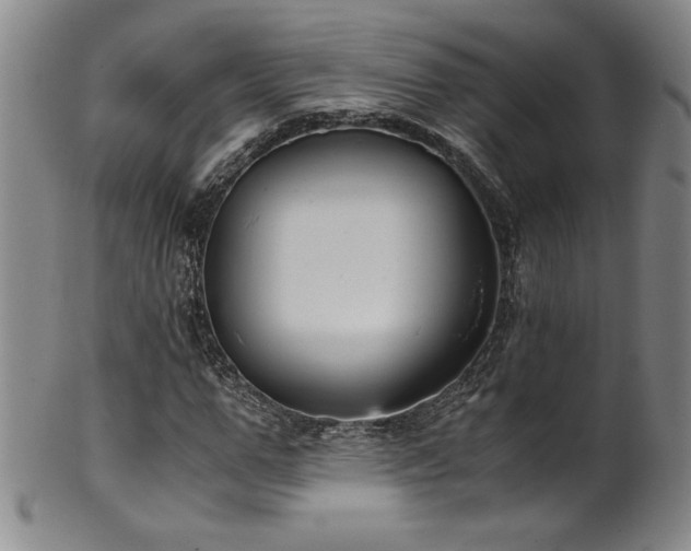 X0000102470967200808081246