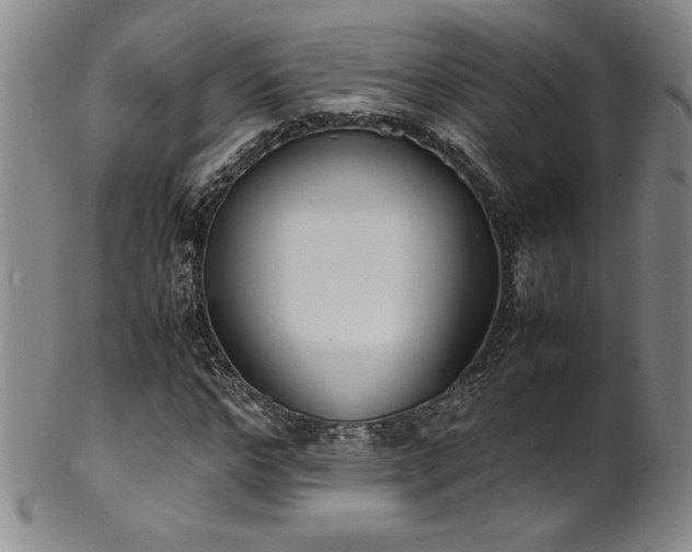 X0000102470968200808081246