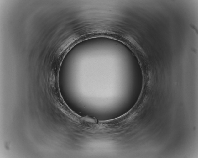 X0000102470969200808081246