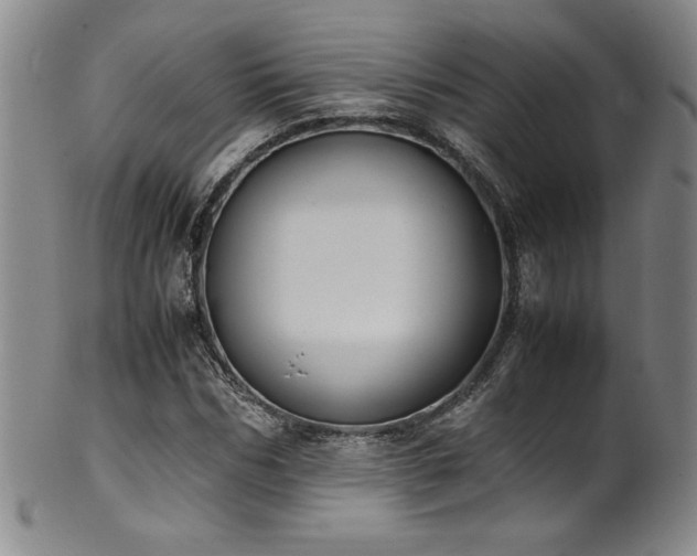 X0000102470970200808081246
