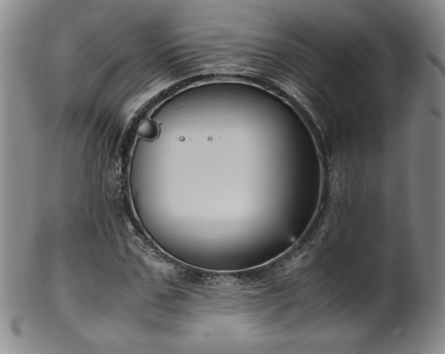X0000102470971200808081246