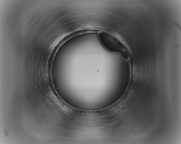 X0000102470972200808081246