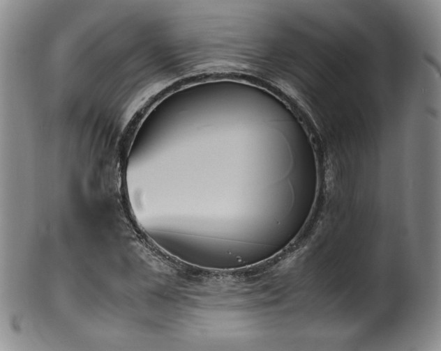 X0000102470973200808081246
