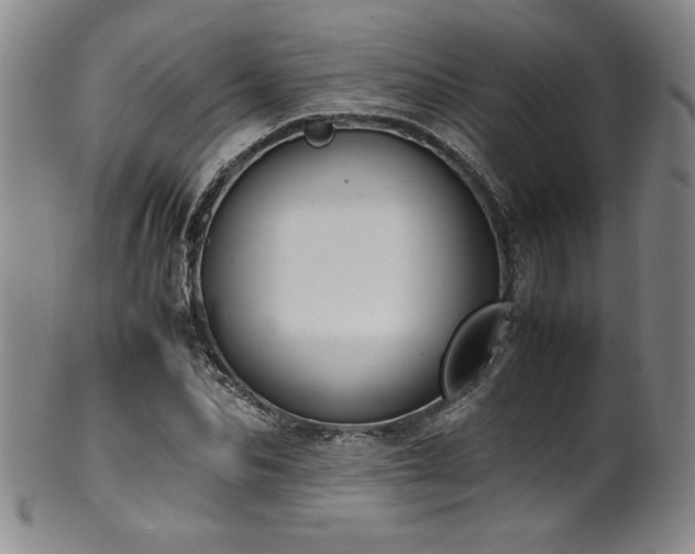 X0000102470974200808081246