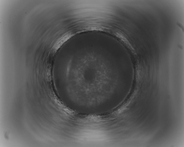X0000102470977200808081246
