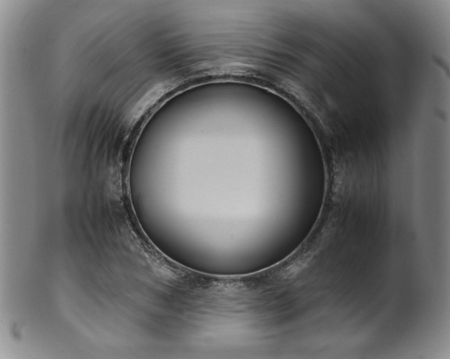 X0000102470978200808081246