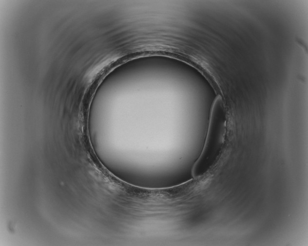 X0000102470979200808081246