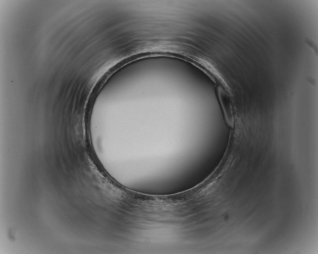 X0000102470980200808081246