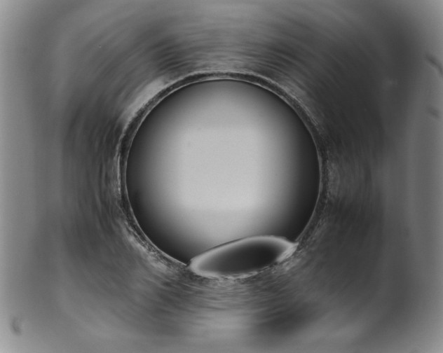 X0000102470982200808081246