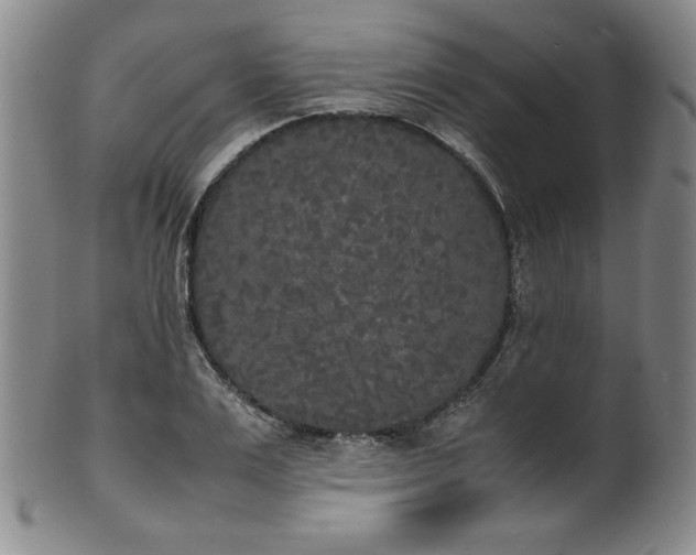 X0000102470983200808081246